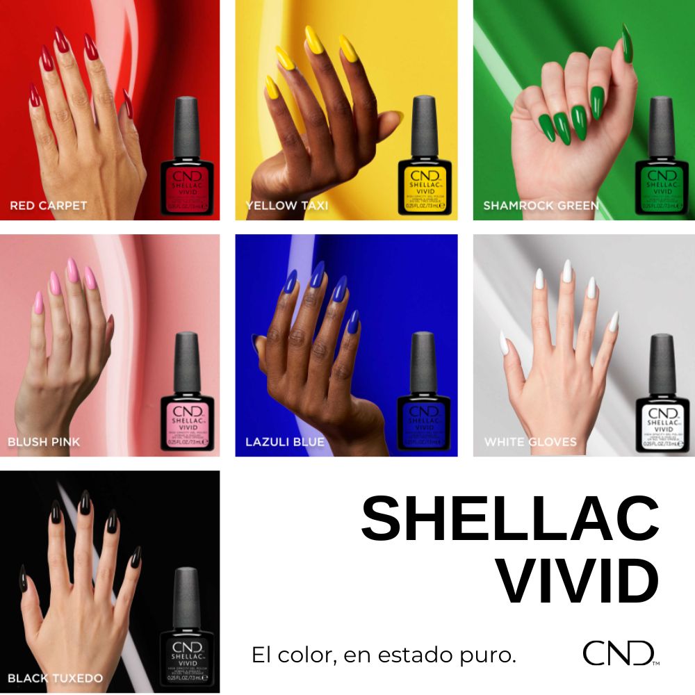 SHELLAC RED CARPET - Imagen 5